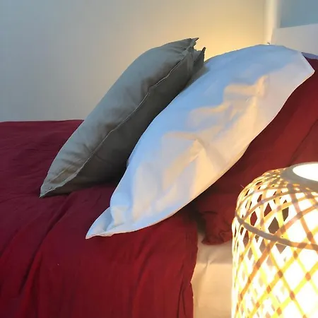 Sofihome * 볼로냐