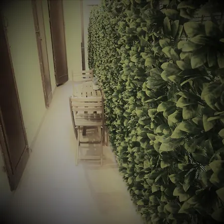 Sofihome *